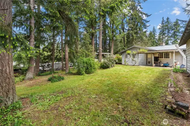 Park-like shy half acre yard