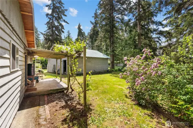Covered back patio leads to your back yard and shop access