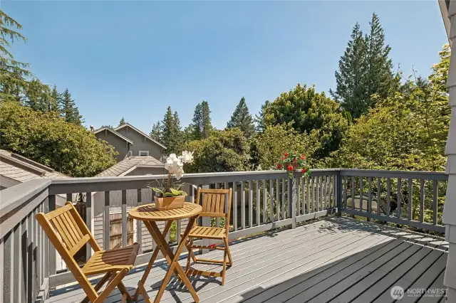 Large deck for entertaining.   Don't miss the expansive patio below.