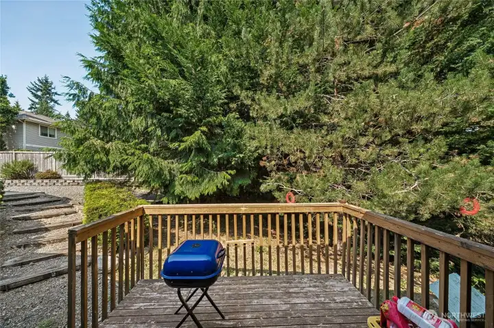 Private BBQ deck off Unit B includes a private, lush green backdrop.
