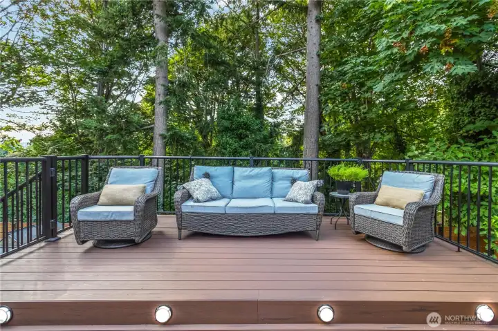 recently updated Trex deck