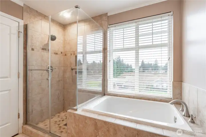 Primary shower and soaking tub.