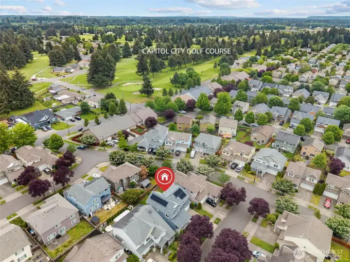 VIEW FROM THE SKY | If you're a golfer, this is a dream location for you. Check out the proximity to Capitol City golf course.