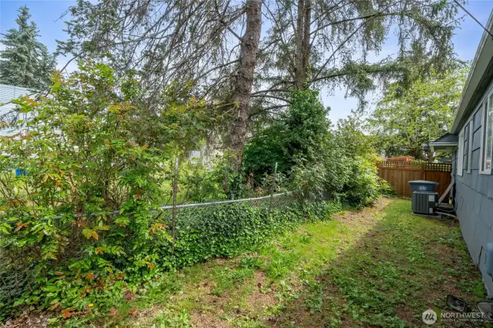 This back running strip is completely fenced off.