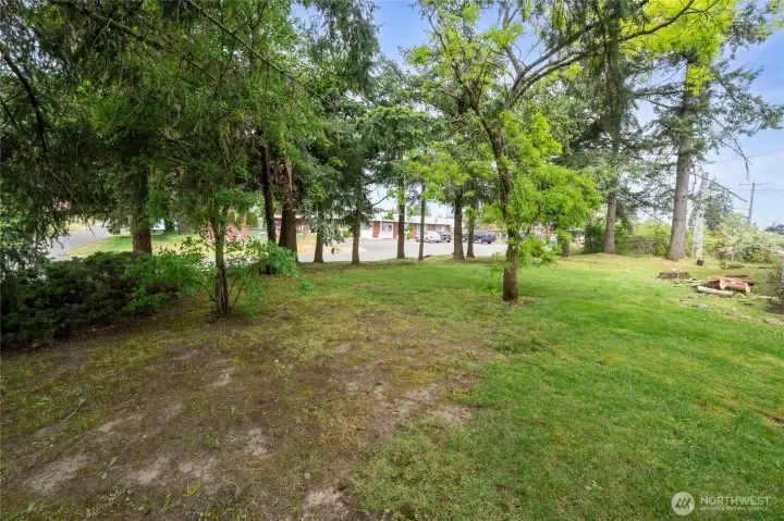 This is a perfect picnic spot!
