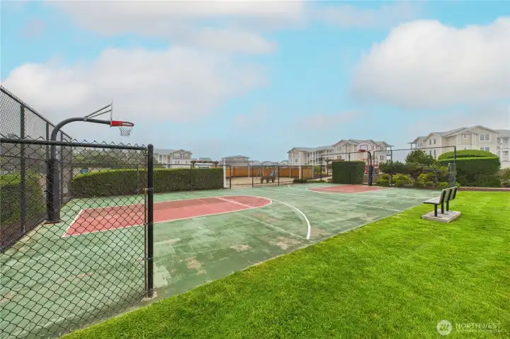 basketball court