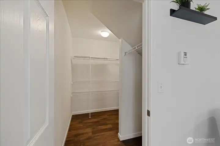 HUGE pantry, storage, or whatever. Even more space around the corner.