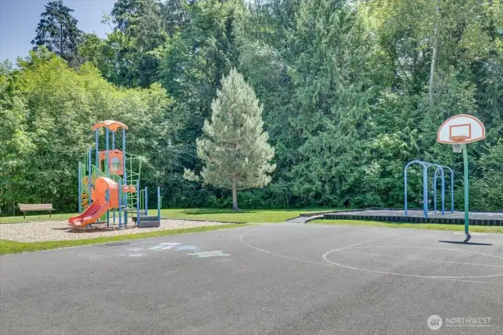 Park surrounded by evergreens & space to explore