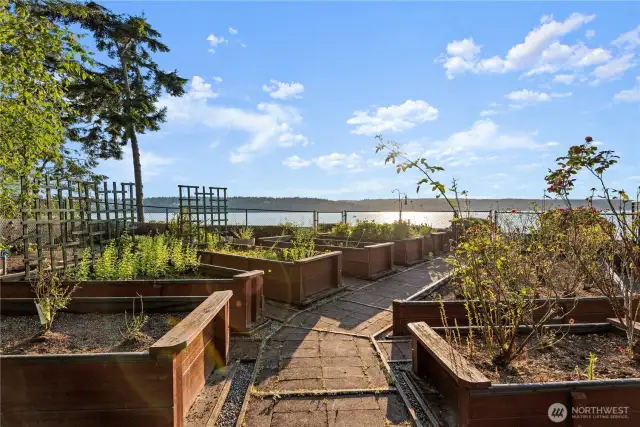 The garden area, featuring raised garden  beds, invites you to cultivate your own  vegetables, herbs, and flowers in a  thoughtfully designed space. Whether you’re  enjoying the serene waterfront views,  tending to your garden, or simply relishing  the privacy of the large yard, this home offers  a unique blend of natural beauty and  outdoor enjoyment.