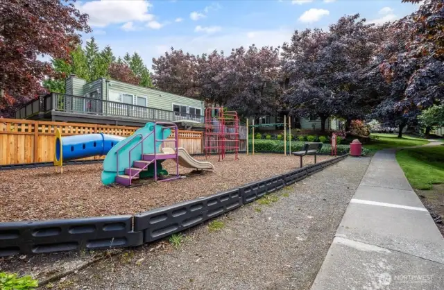 Community Playground