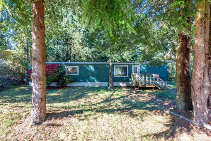 Front yard. Bushes in front of windows have been removed.