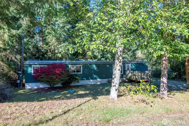 Bushes in front of windows have been removed.