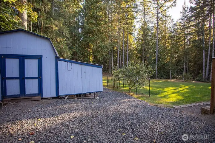 storage shed and fruit trees to the right
