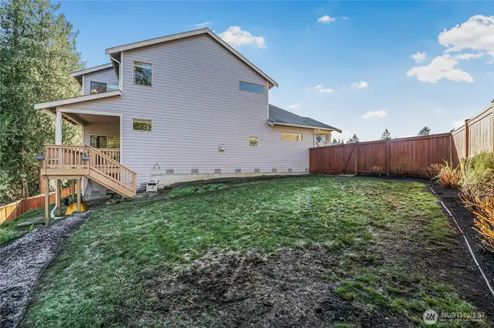 Yard view on a frosty morning.