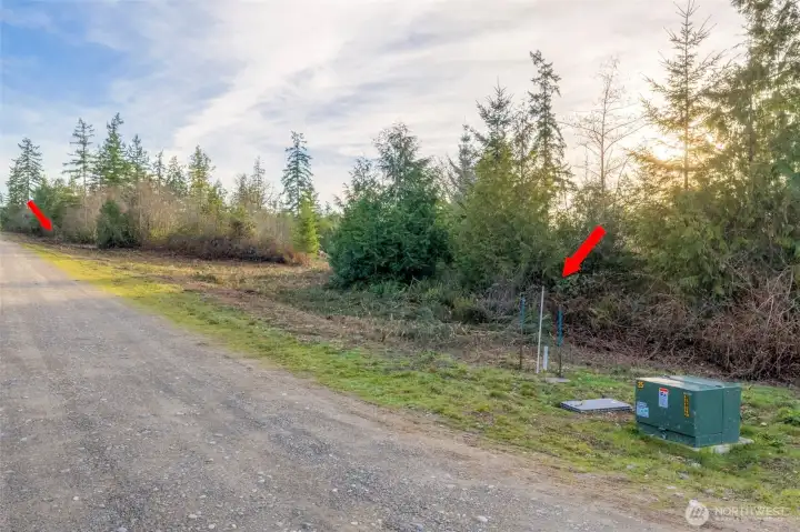 PUD and PSE in the street