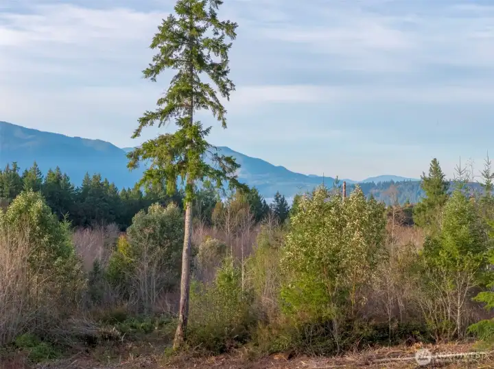 Views from the ground