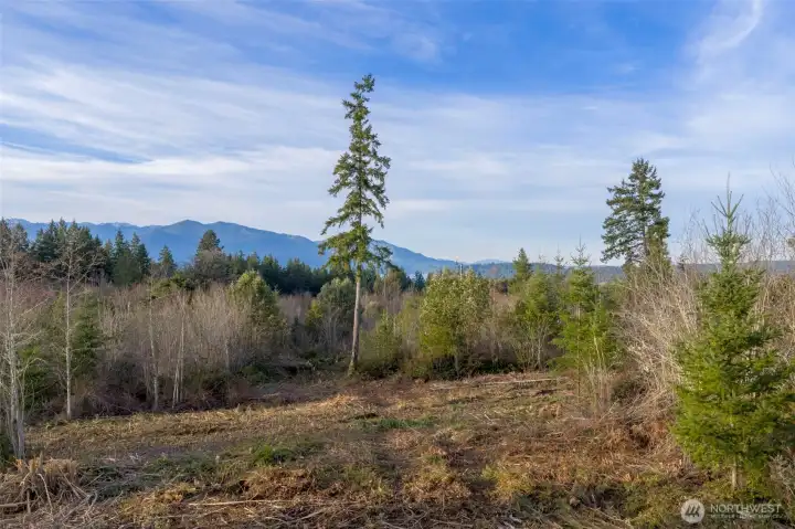 Cleared areas to help you visualize