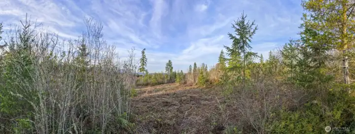 Opened up to allow the sunshine in yet privately tucked away