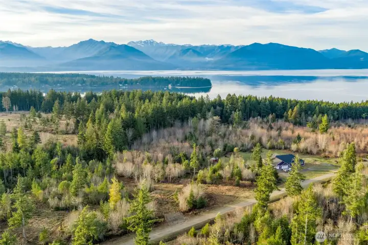 Surrounded by beauty