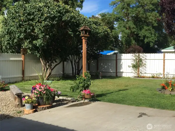 Spring time back yard.