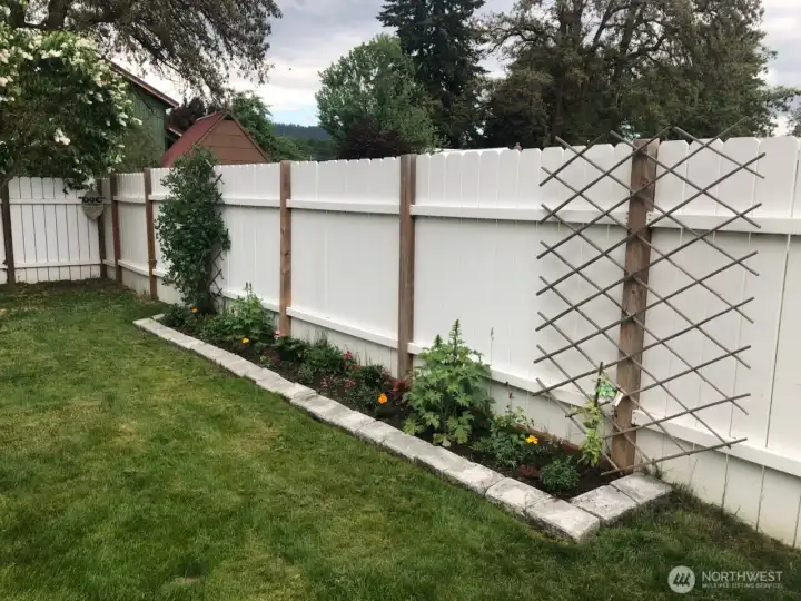 Spring time back yard.