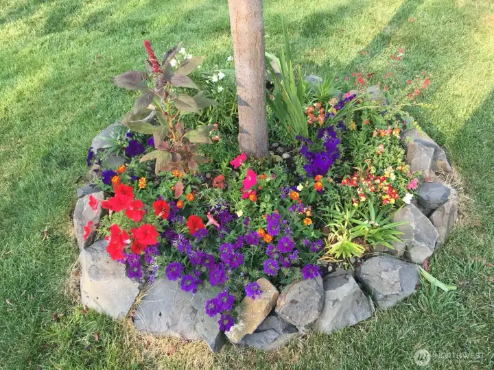 This back yard is a gardeners delight!