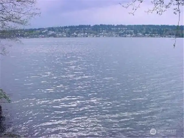 Waterfront of Lake Washionton