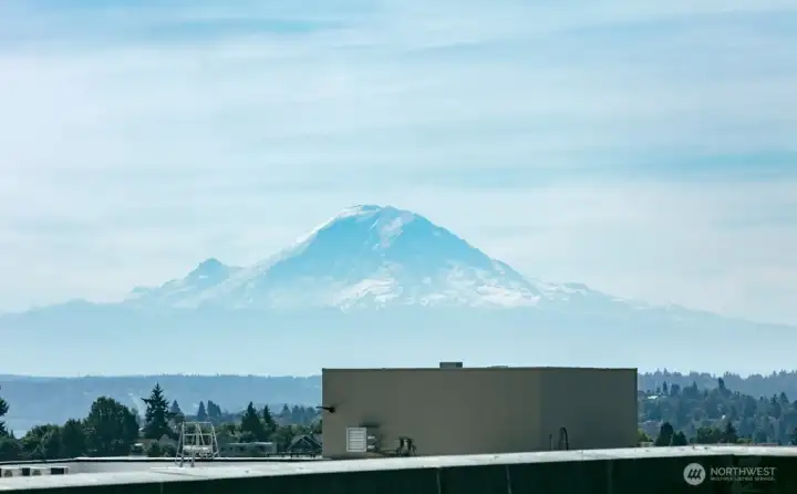 View from Rooftop Deck