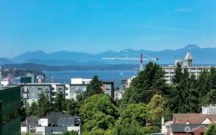 View from Rootop Deck