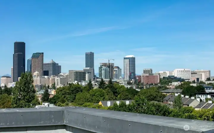 View from Rooftop Deck