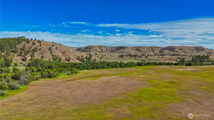 43.88 acres pasture land just miles north of Nespelem with Nespelem River & unnamed creek running through portions of the property 43.88 acres pasture land just miles north of Nespelem with Nespelem River & unnamed creek running through portions of the property