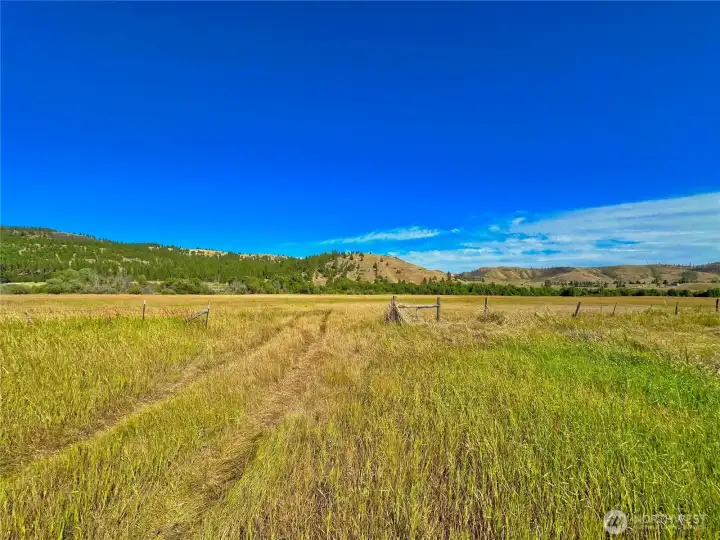 Gated entry to property with level & rolling terrain makes for easy access Gated entry to property with level & rolling terrain makes for easy access