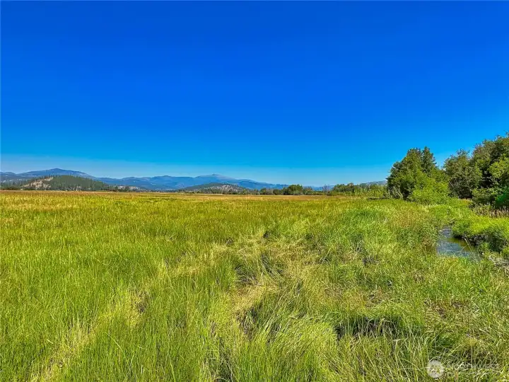 43.88 acres just miles from Nespelem with Nespelem River 43.88 acres just miles from Nespelem with Nespelem River