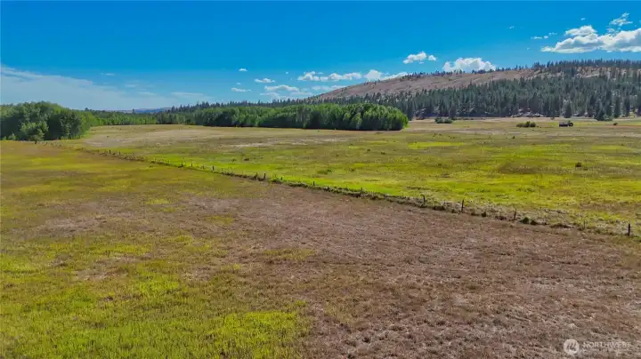 Fencing on all sides makes for great grazing area for livestock. Fencing on all sides makes for great grazing area for livestock.