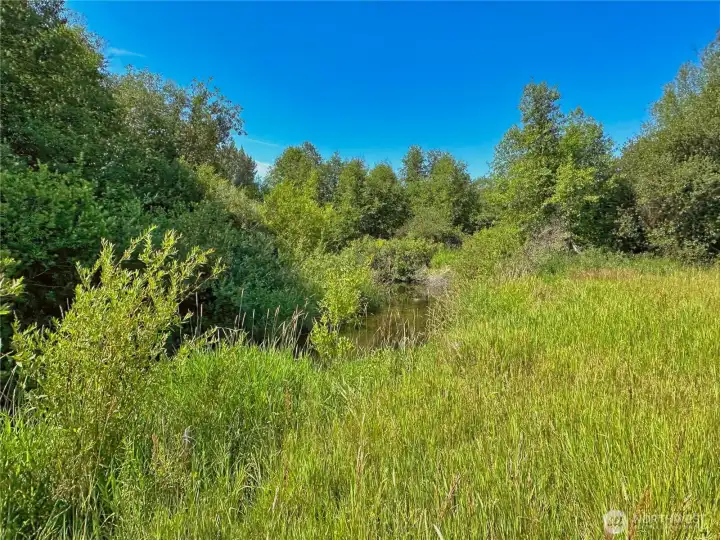 Nespelem River runs through the SE and along the property providing a private fishing spot for trout Nespelem River runs through the SE and along the property providing a private fishing spot for trout