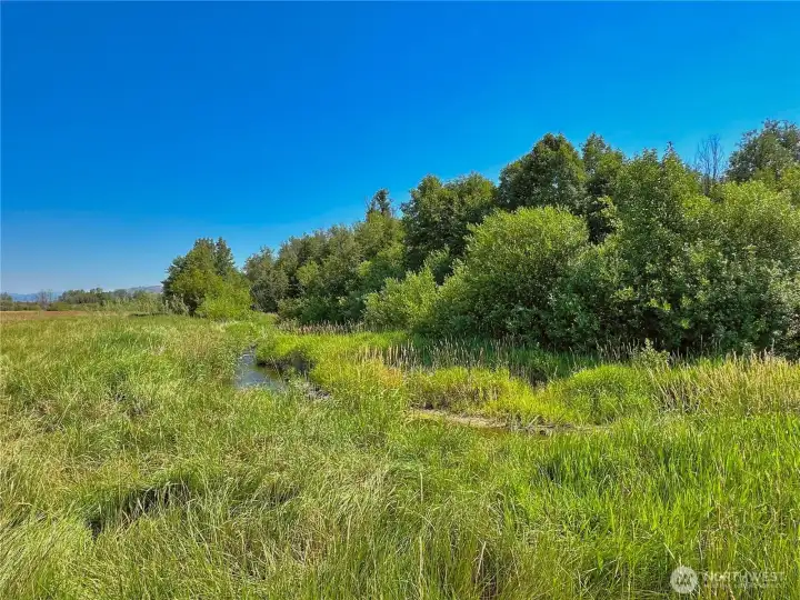 View of the Nespelem River looking towards the North View of the Nespelem River looking towards the North