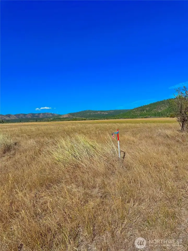 Marker on left side of road through pasture (you will see tracks easily) Marker on left side of road through pasture (you will see tracks easily)