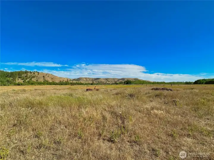 Rusted vehicles and wire strand fence pile on right side of pathway through trust property west of entrance to 43.88 acre parcel for sale Rusted vehicles and wire strand fence pile on right side of pathway through trust property west of entrance to 43.88 acre parcel for sale