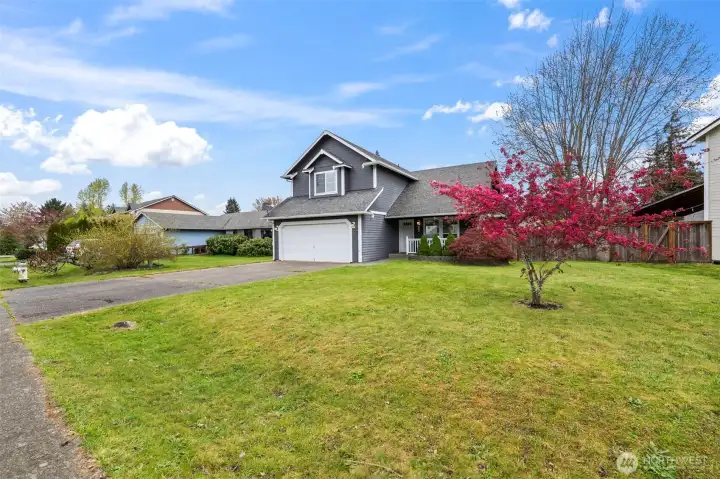 Oversized yard with mature landscaping