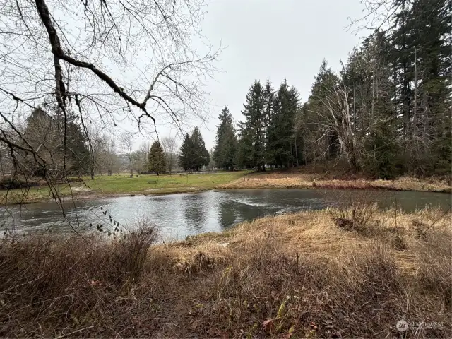 Schaefer Park Trail system overlooking Skookumchuck river.