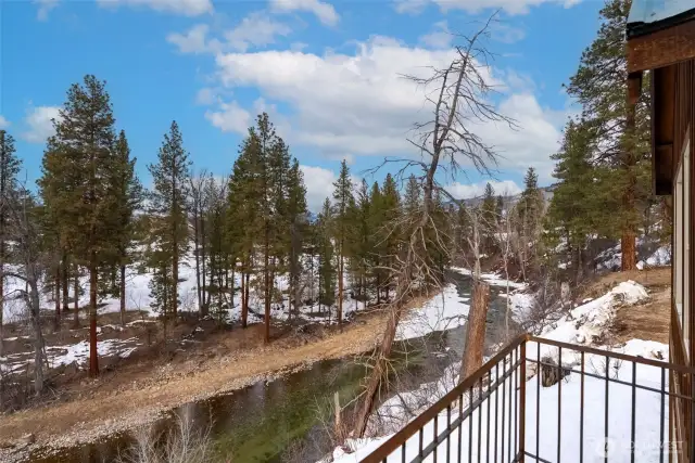 Find the wonder of watching moose, deer and otters!