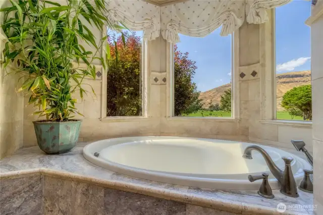 Large soaking tub with a view