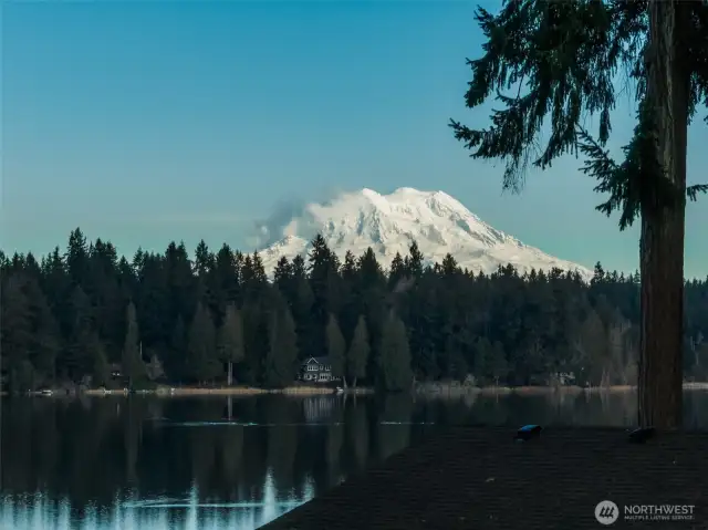 Mt. Rainier