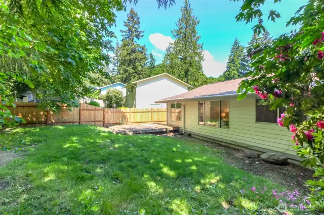 Fully fenced backyard