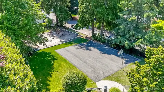 Neighborhood park, down the street from home.