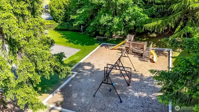 Neighborhood park playset.
