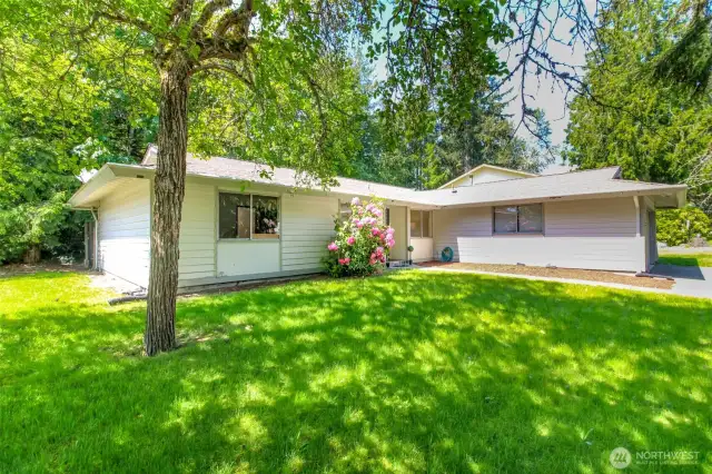 Nice size front yard