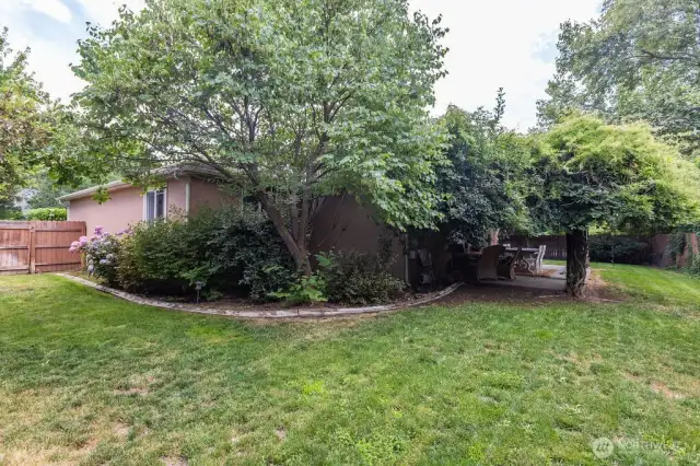 Back yard looking NE