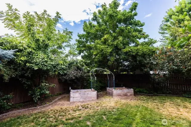 NW corner of back yard