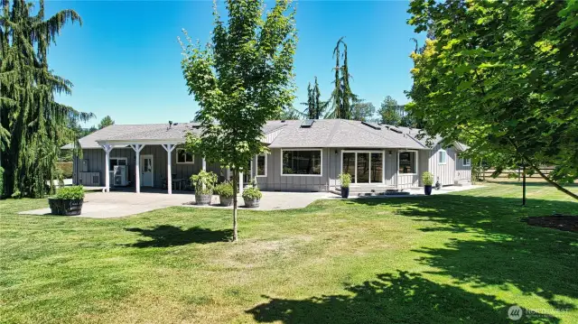 Back yard with mature trees.